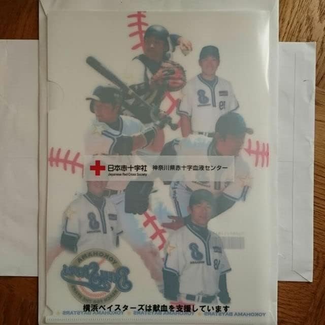 永世乙女の戦い方 クリアファイル 直筆サイン入 り　当選品　直筆イラスト　直筆 永世乙女の戦い方 クリアファイル 直筆サイン入 り 当選品 直筆